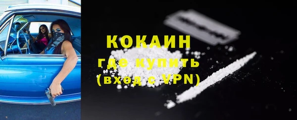 мдпв Магас
